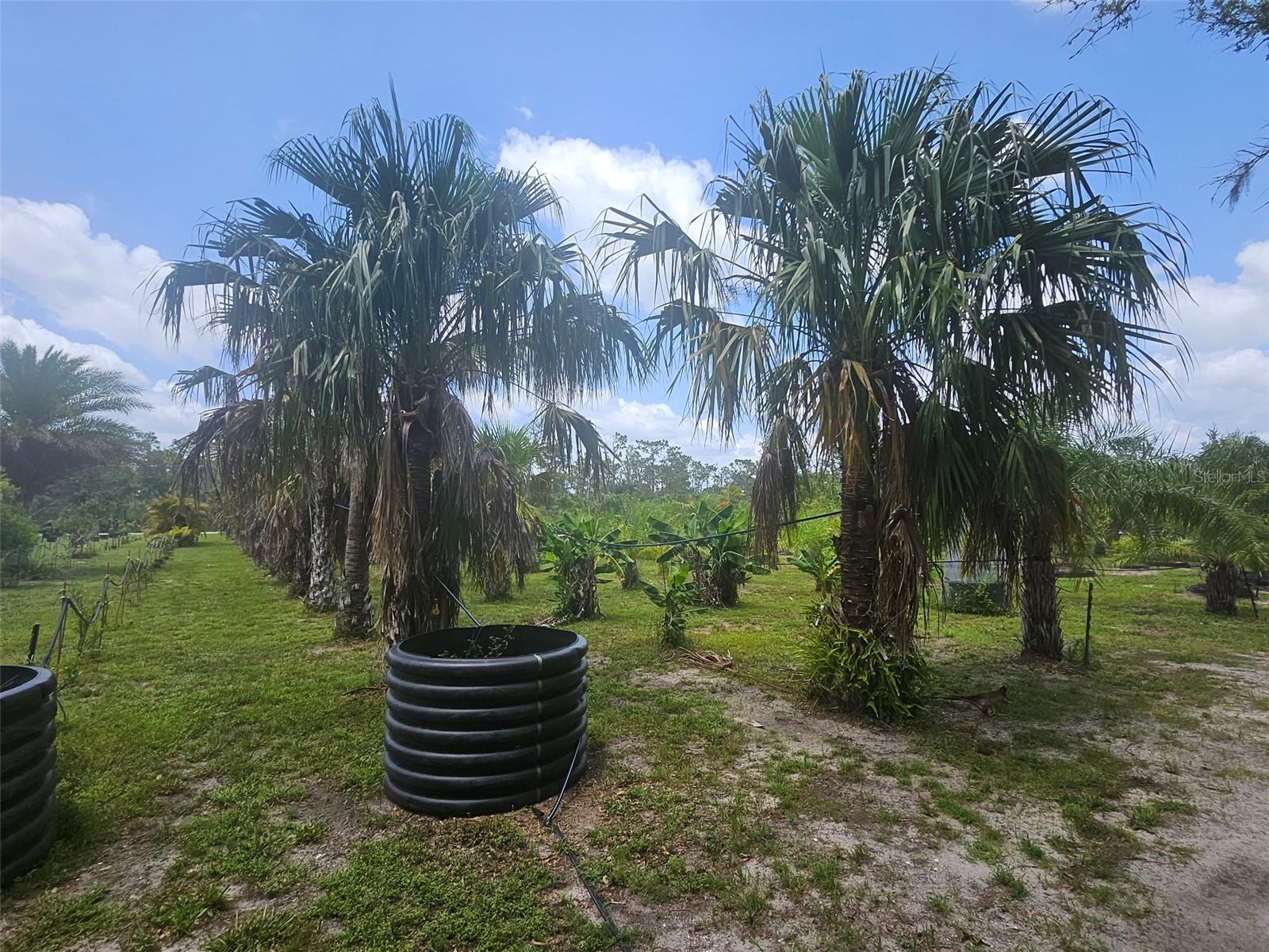 WATERBURY TRACTS CONTINUED - Land