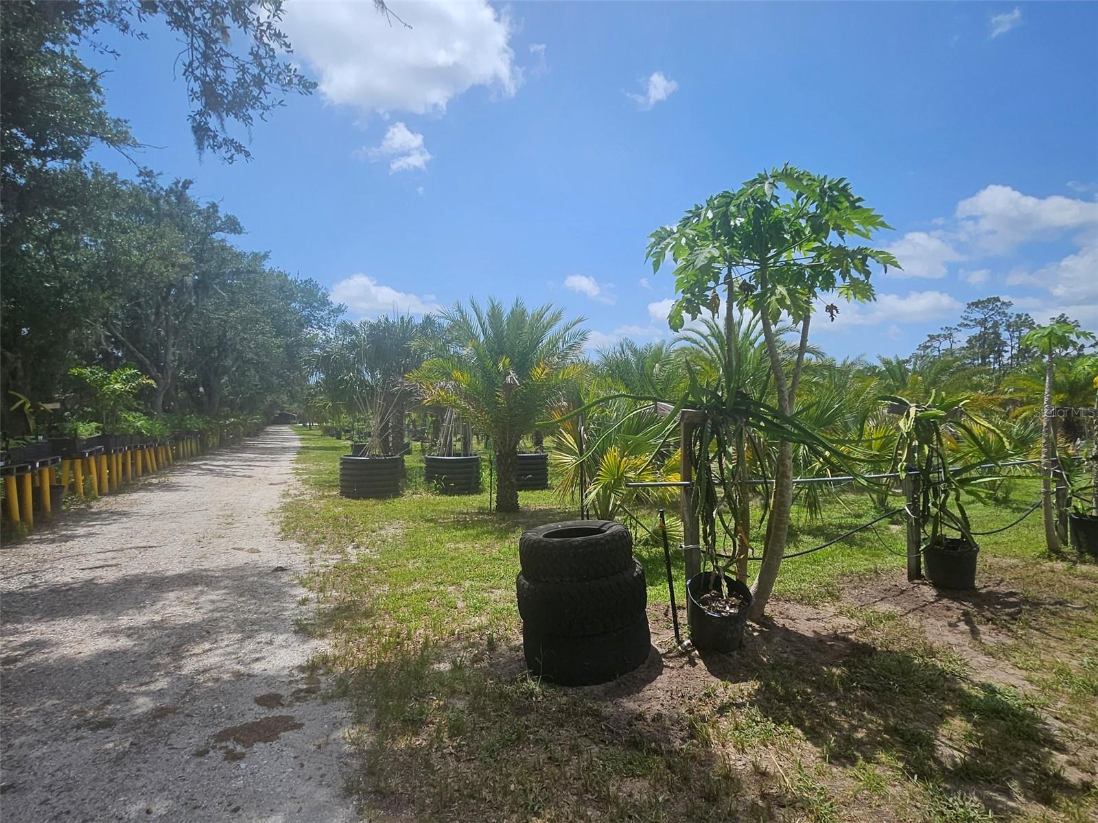 WATERBURY TRACTS CONTINUED - Land