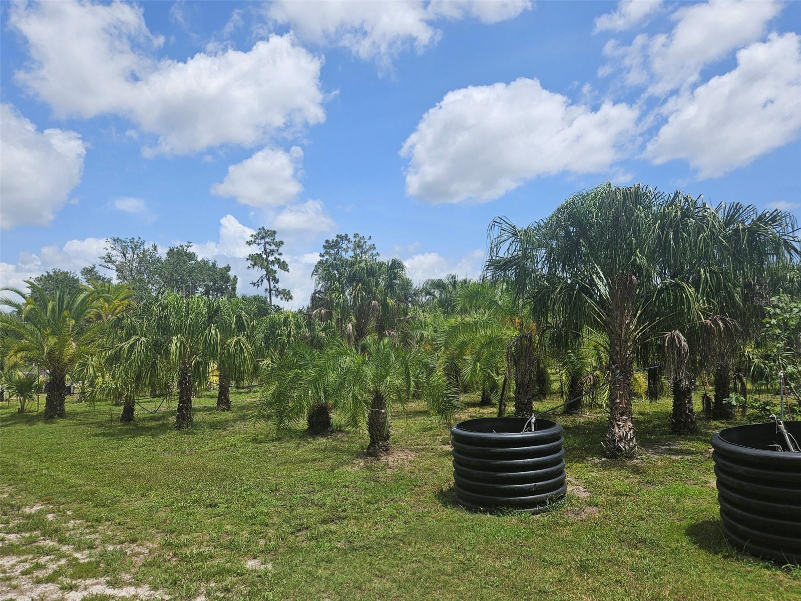 WATERBURY TRACTS CONTINUED - Land