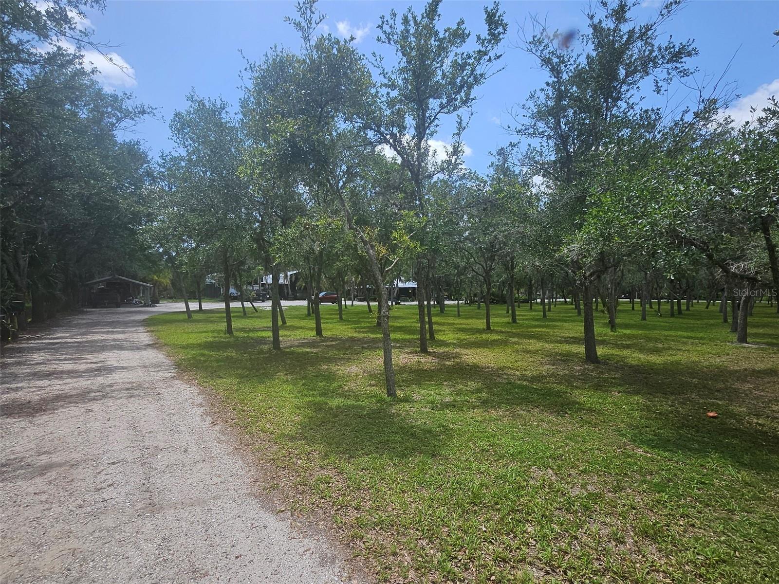 WATERBURY TRACTS CONTINUED - Land