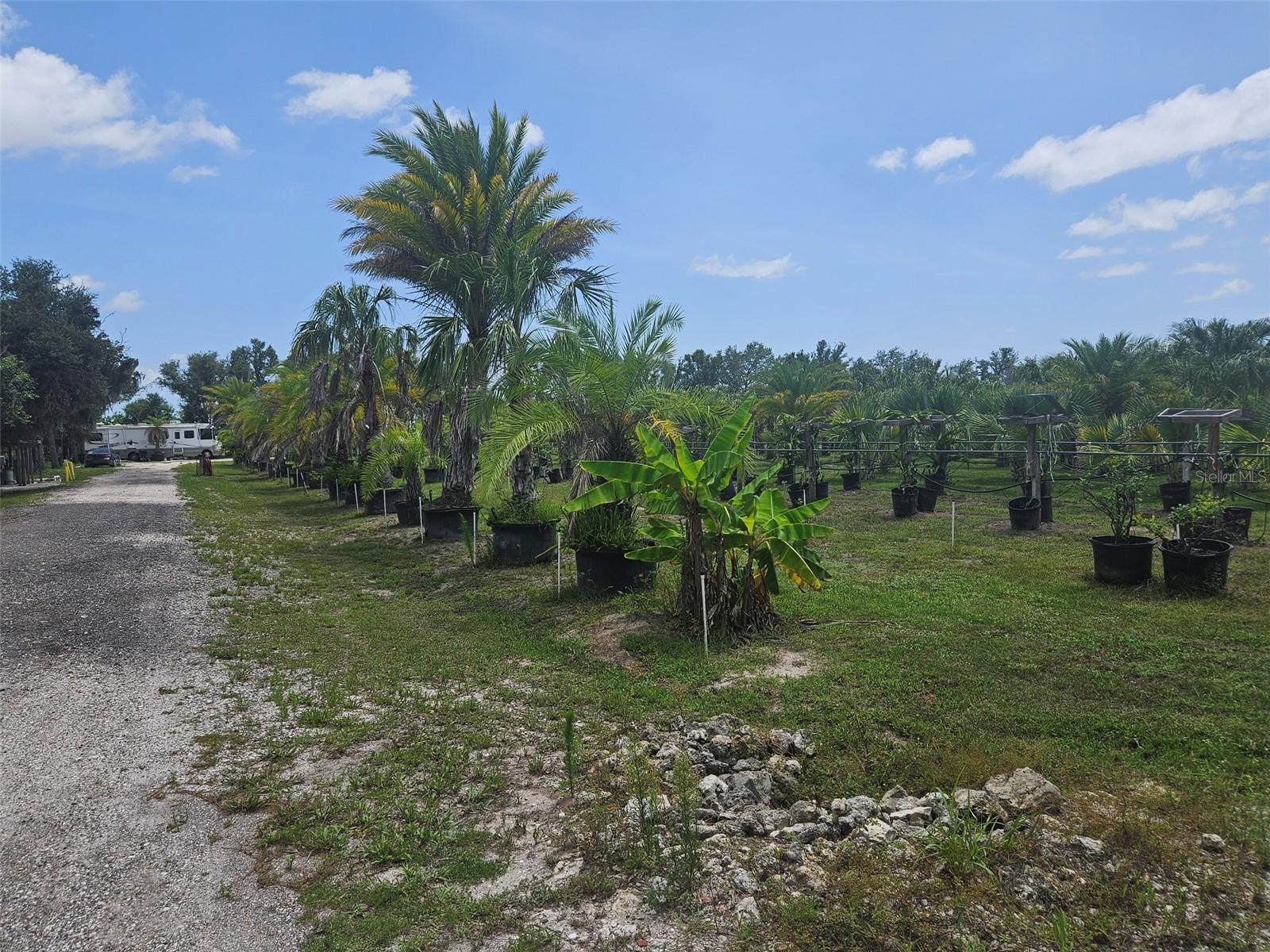 WATERBURY TRACTS CONTINUED - Land