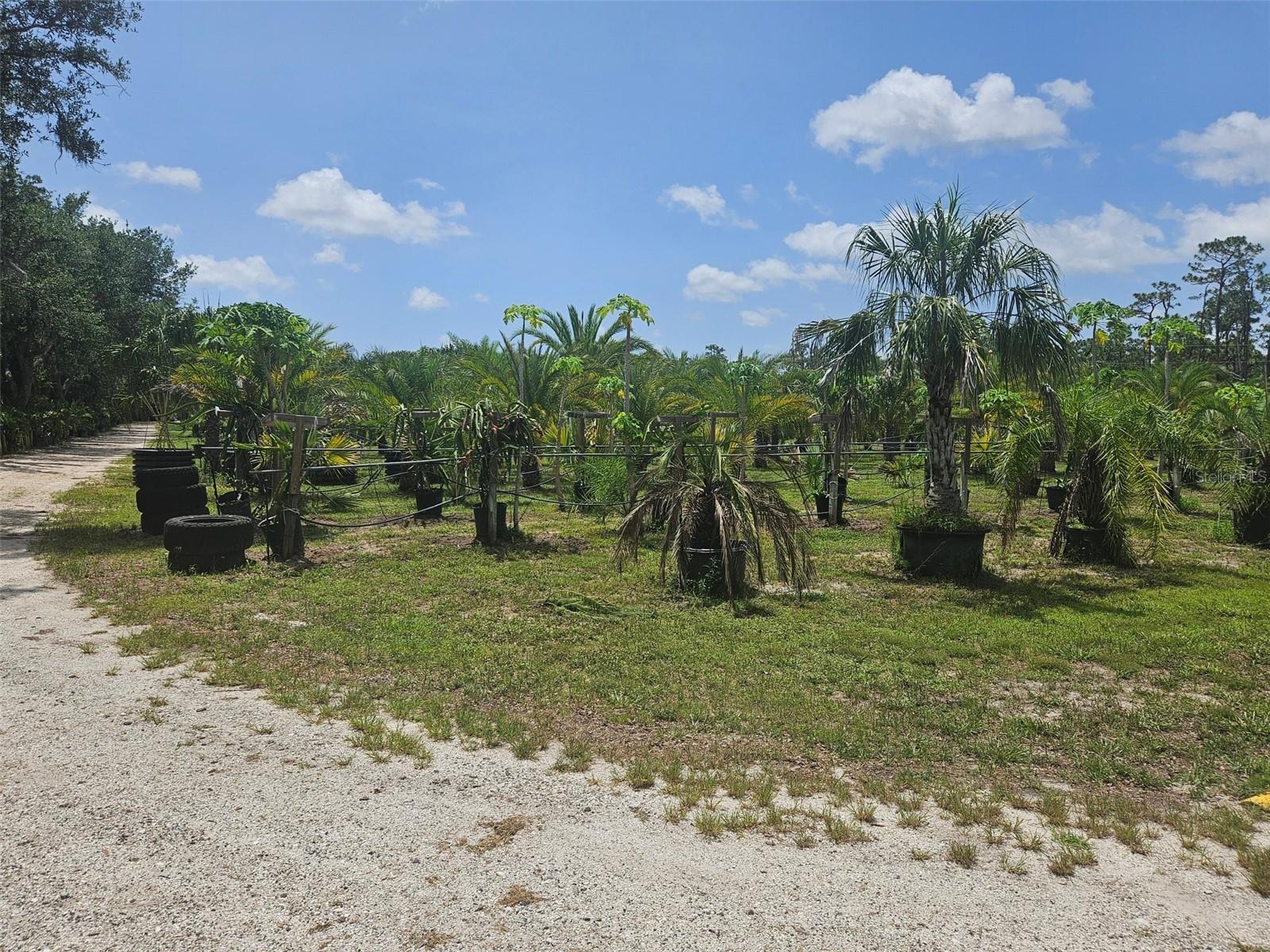 WATERBURY TRACTS CONTINUED - Land