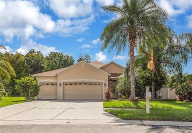 31230 ALCHESTER DRIVE WESLEY CHAPEL FL 33543