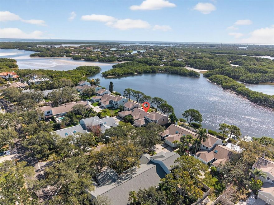 WATERFRONT villa in the exclusive GATED community of Caya Costa, where luxury, design, and direct access to Tampa Bay come together seamlessly. This beautifully updated home has been remodeled from top to bottom with high-end finishes and thoughtful designer details throughout, creating a refined yet comfortable coastal retreat.

Inside, wide plank hardwood flooring flows through the main living and bedroom spaces, enhancing the open, light-filled floor plan. The living areas connect effortlessly to an expansive ALL GLASS FLORIDA ROOM finished with durable designer tile, offering sweeping WATER VIEWS and a perfect setting for both everyday living and entertaining. From here, step out to the back deck and take in tranquil vistas of preserved waters that lead DIRECTLY TO TAMPA BAY—with no bridges to obstruct your path. The chef-inspired kitchen offers premium stainless steel appliances, custom modern cabinetry, a stylish bar, quartz countertops, and a beverage and wine cooler—creating a true centerpiece for entertaining. A split-bedroom layout provides privacy, with a guest suite at the front and a luxurious waterfront owner’s suite at the rear. The primary suite offers serene water views and a spa-like bath complete with California custom closet systems, marble flooring, a seamless glass shower, designer vanity, and premium fixtures. Enjoy immediate access to open water—ideal for kayakers, paddle boarders, and boating enthusiasts. Add a private dock and lift for ultimate convenience (with City of St. Petersburg permitting), or take advantage of Caya Costa’s dedicated boat and trailer storage area near the entrance, complete with its own private community boat ramp.
Caya Costa’s resort-style amenities include a community pool, tennis and pickleball courts, gazebo, and beautifully maintained grounds, all just minutes from downtown St. Petersburg, shopping, dining, and beaches. This is a rare opportunity to own a fully updated waterfront villa offering luxury finishes, protected views, and direct access to Tampa Bay living.