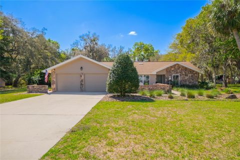 Photo of 9800 E Regency Row, Inverness, FL 34450 (MLS # W7884273)