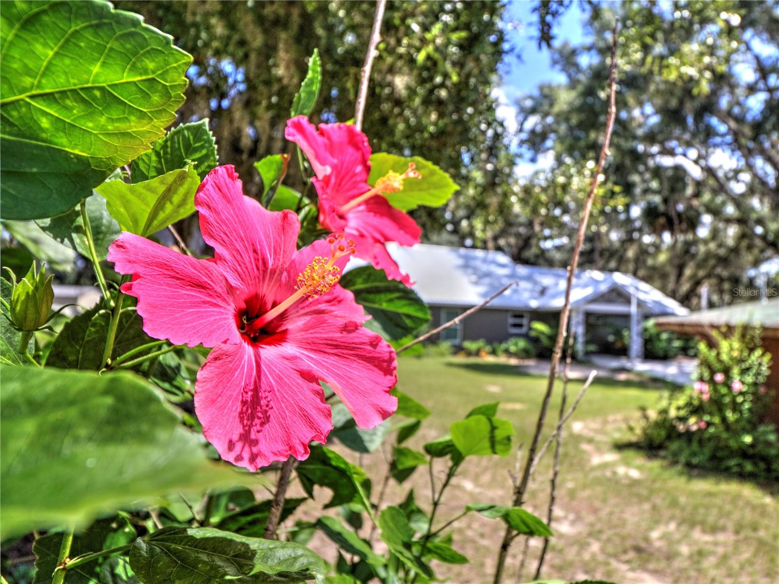 TOWERING OAKS - Residential