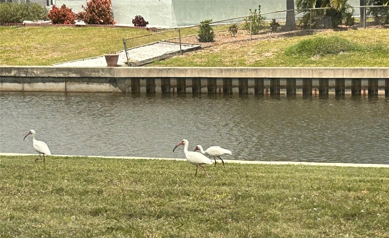 PORT CHARLOTTE - Residential