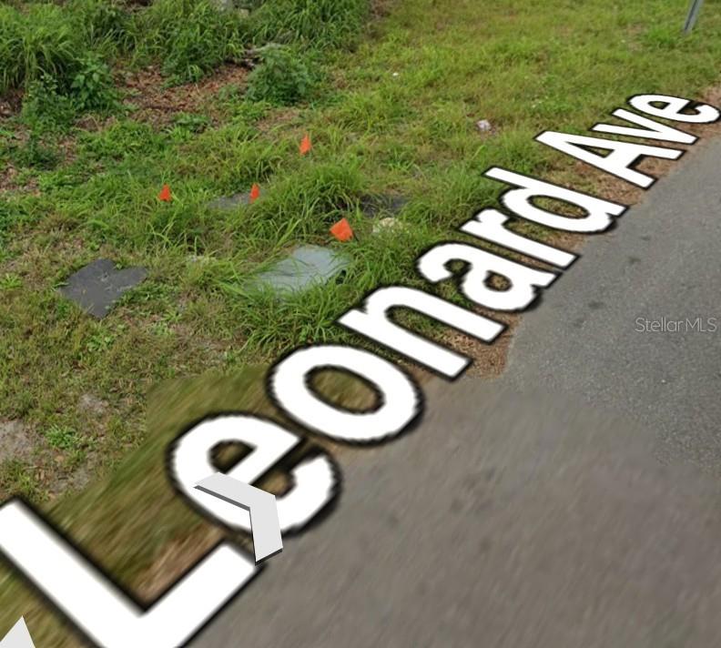 LEONARD, RIVERVIEW, FL, 33569 1 LEONARD