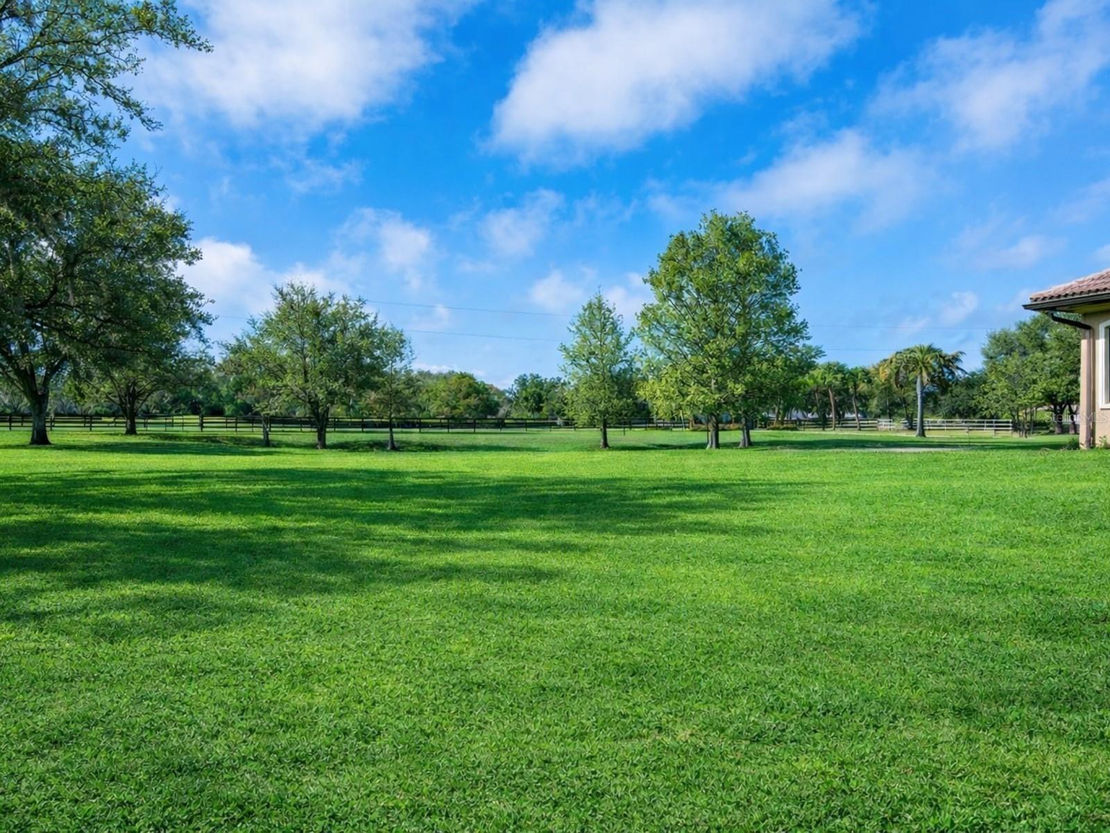DEER HAMMOCK - Residential