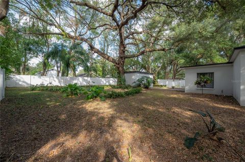 A home in TAMPA