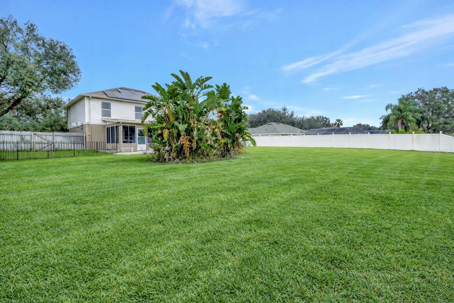 JOHNS LAKE ESTATES - Residential