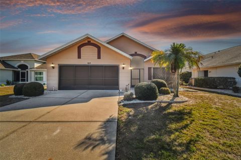 A home in SUN CITY CENTER