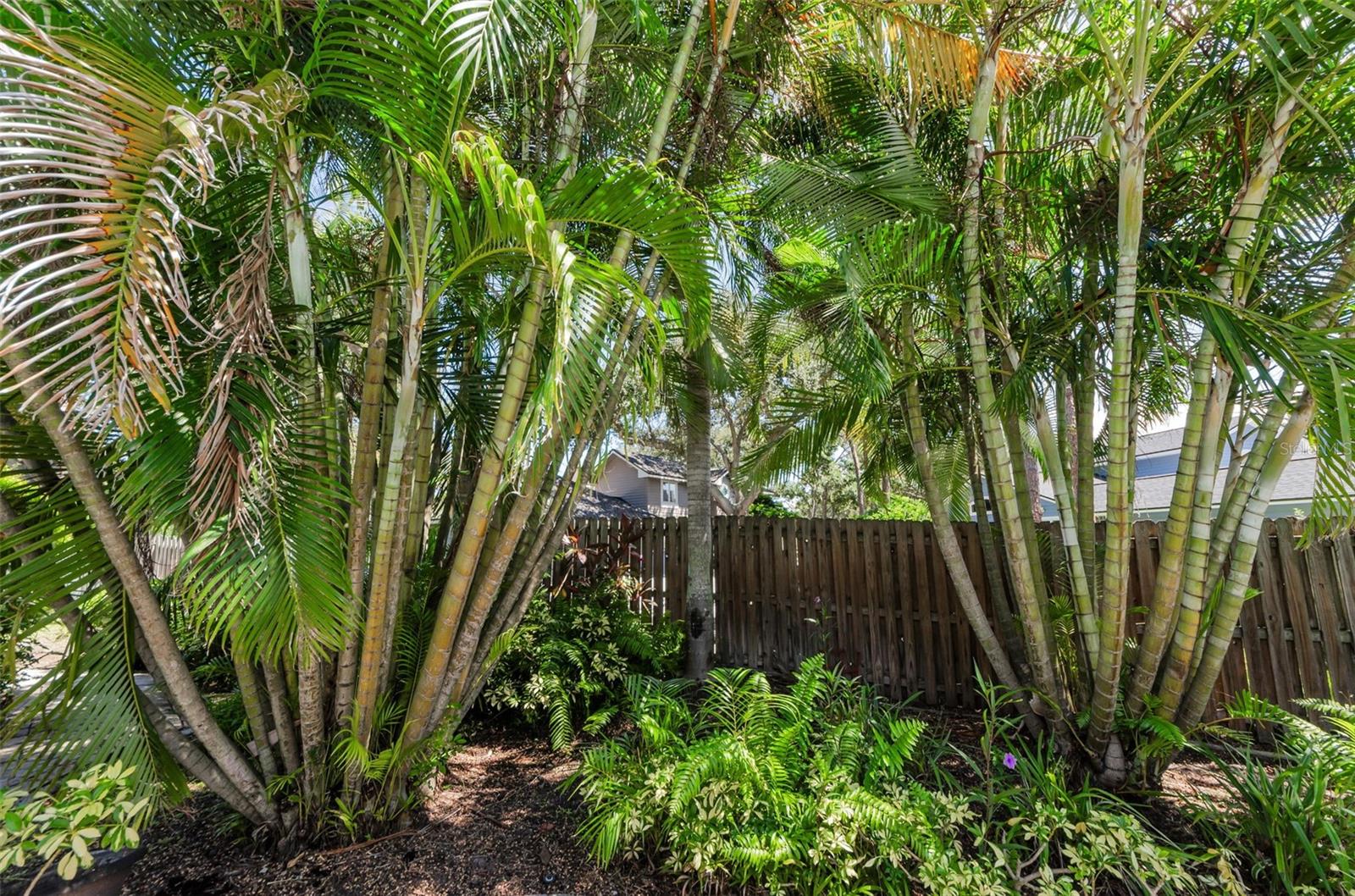ARBORS AT BARDMOOR THE - Residential