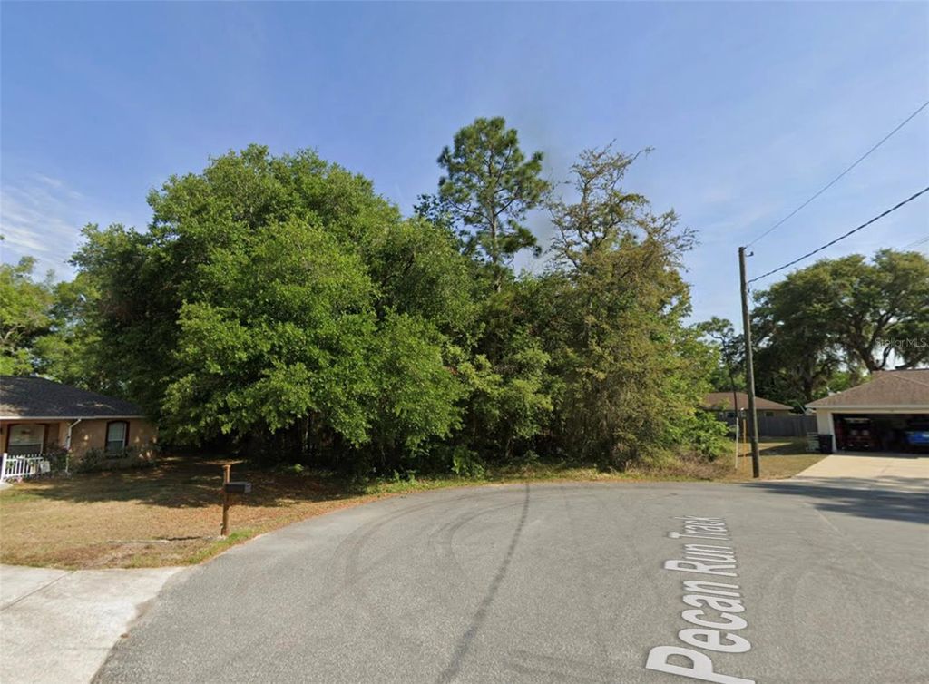 Photo of Pecan Run Track, Ocala, FL 34472 (MLS # O6390462)