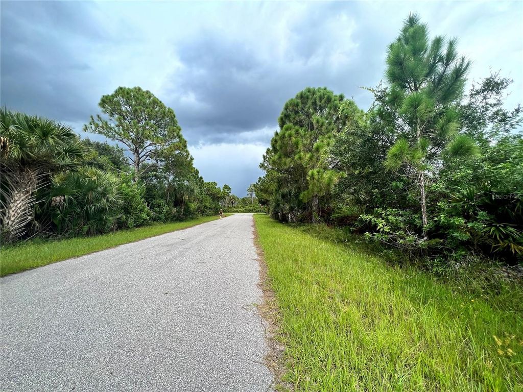Photo of 12467 Divan Avenue, Port Charlotte, FL 33981 (MLS # C7528678)