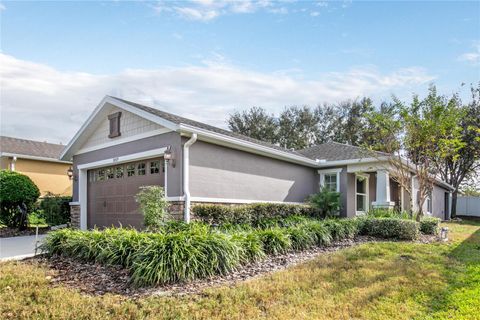 A home in MOUNT DORA