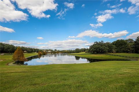 A home in MOUNT DORA