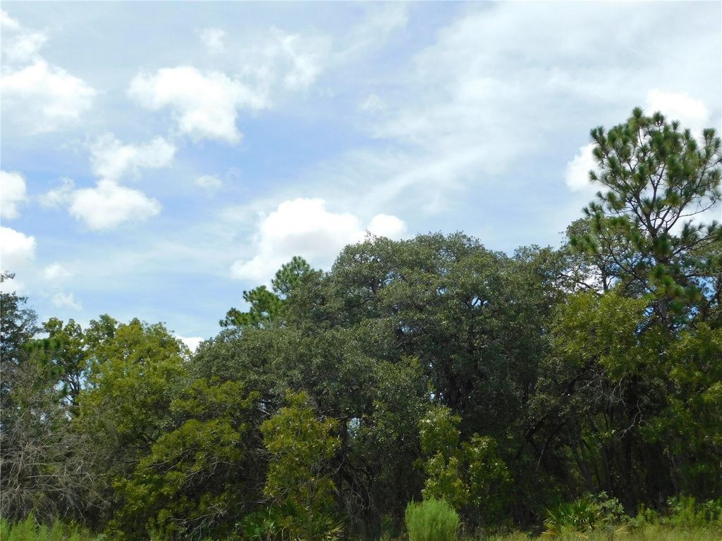 Photo of 6681 N Bedstrow Boulevard, Dunnellon, FL 34434 (MLS # W7878137)