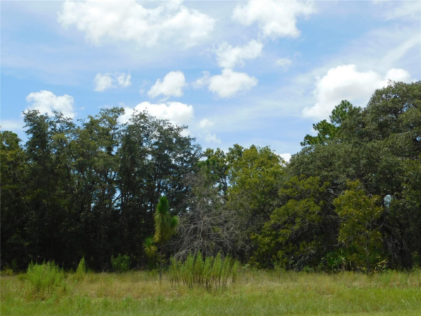 Prime Location perfect for your dream home or investment! Come and take a Look!!! NO HOA Fees! NO Flood Zone! Paved Road! Citrus County Water Resources! A short drive to the Withlacoochee & Rainbow rivers for Freshwater fishing, boating and kayaking or take a drive to the Crystal River for scalloping or a swim with the manatees! Citrus Springs offers paved bike trails, tennis courts, golf course, parks, and a beautiful community center. Withlacoochee Trail is less than 10 minutes away. A short distance to shopping, medical and library. Centrally located between Dunnellon, Inverness, Beverly Hills, Crystal River and Homosassa. or about 15 Minutes to the Suncoast Expwy. 20 minutes from Ocala and I-75, an hour from Gainesville, a short distance from Springhill, Brooksville Tampa and Orlando. This lot is worth a look! Great Opportunity! Financing Available for those who qualify. Adjacent lot, MLS #W7878156, is also available. Seller open to package deal.