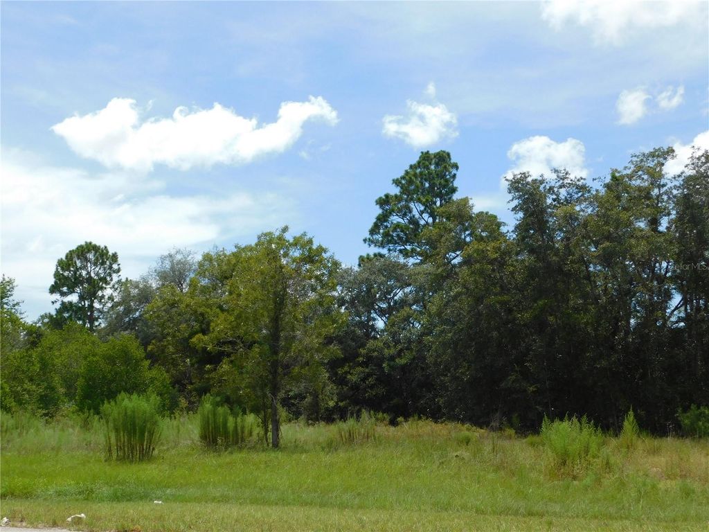 Photo of 6681 N Bedstrow Boulevard, Dunnellon, FL 34434 (MLS # W7878137)