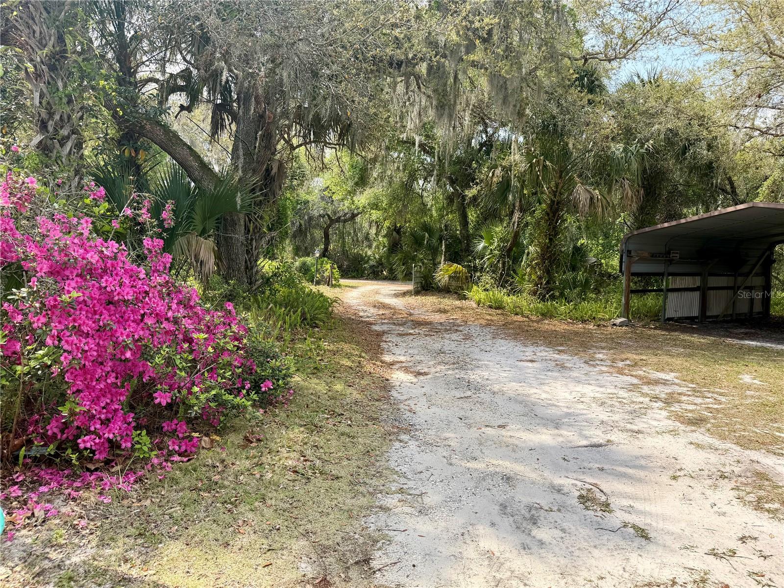 SHADY WOODS ESTATES - Residential