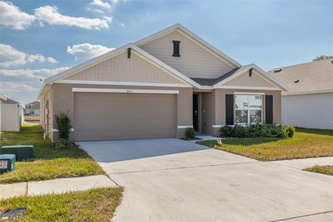 803 ACE OUTLAW AVENUE RUSKIN FL 33570