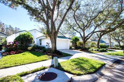 A home in TAMPA