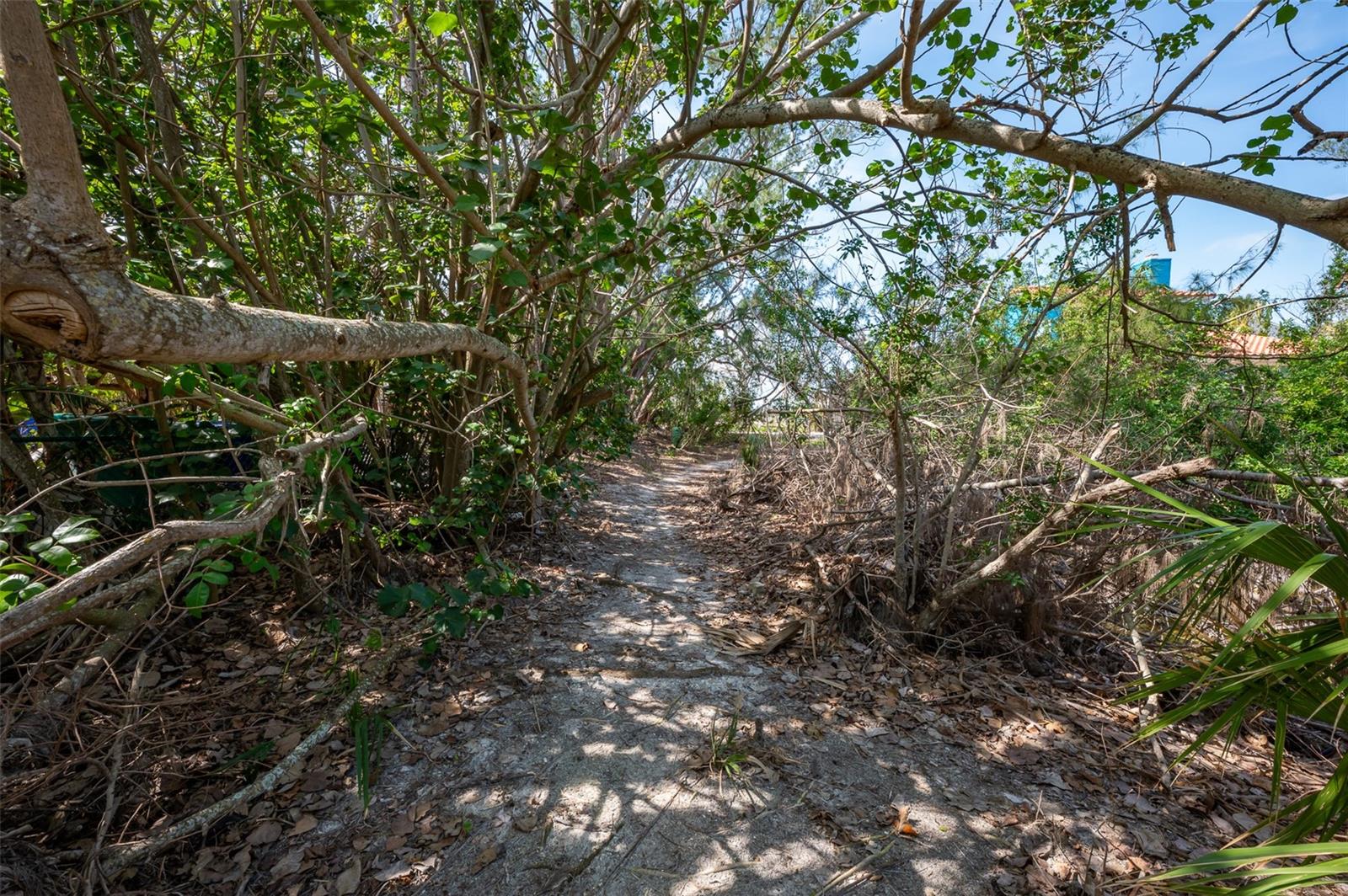 LAGUNA YACHT VILLAGE - Land