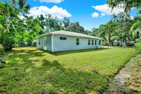 A home in MOUNT DORA