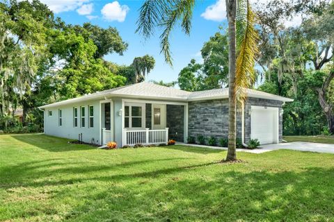 A home in MOUNT DORA