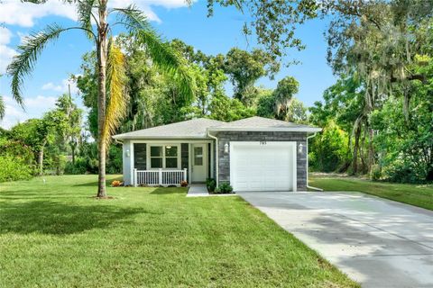 A home in MOUNT DORA