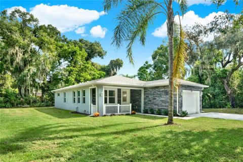 A home in MOUNT DORA