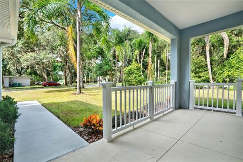 A home in MOUNT DORA