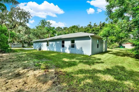 A home in MOUNT DORA