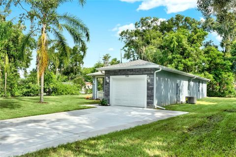 A home in MOUNT DORA