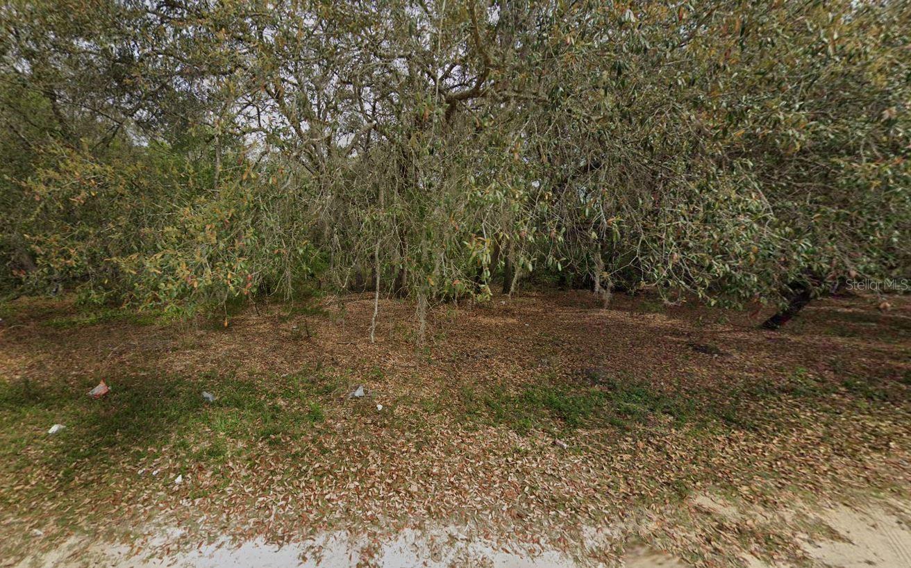 Discover a rare opportunity to own nearly half an acre (0.43?ac) of beautifully wooded land in Interlachen Lakes Estates. This oversized residential lot, measuring approximately 150' x 125', offers a peaceful, park-like setting perfect for building your dream home or retreat among towering oaks. Located just minutes from charming downtown Interlachen and close to spring-fed lakes, this parcel brings together privacy, natural beauty, and convenience. With no HOA and modest annual taxes, this property is a smart investment for those seeking a serene Florida lifestyle. Buyer to verify all utilities, zoning, and development requirements with Putnam County.