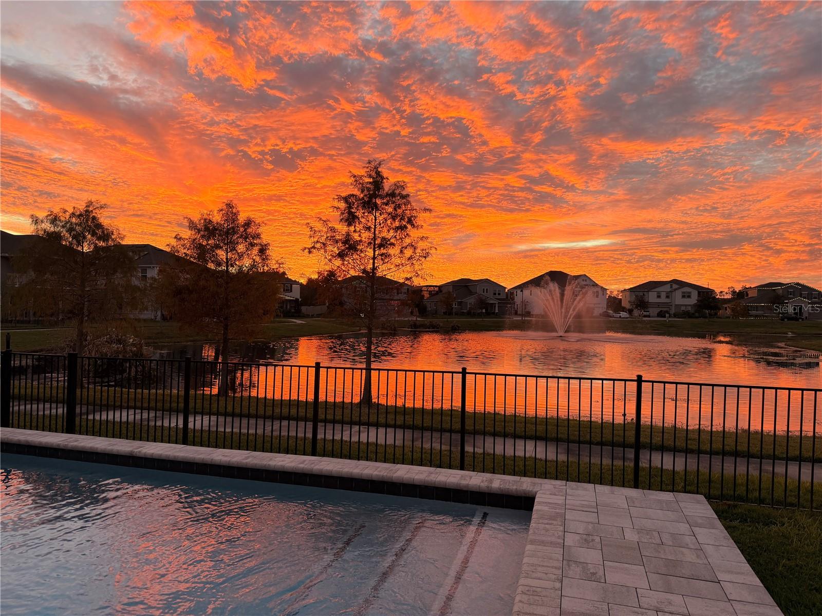 TILDEN PLACE/WINTER GARDEN - Residential