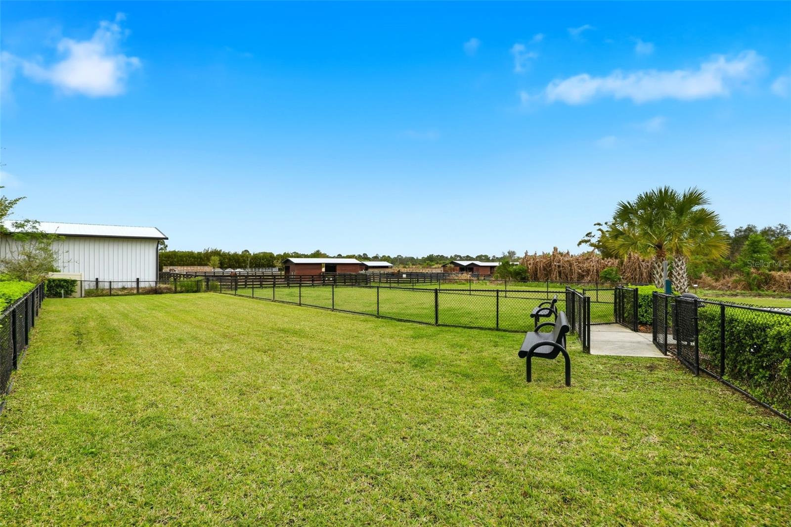 TILDEN PLACE/WINTER GARDEN - Residential