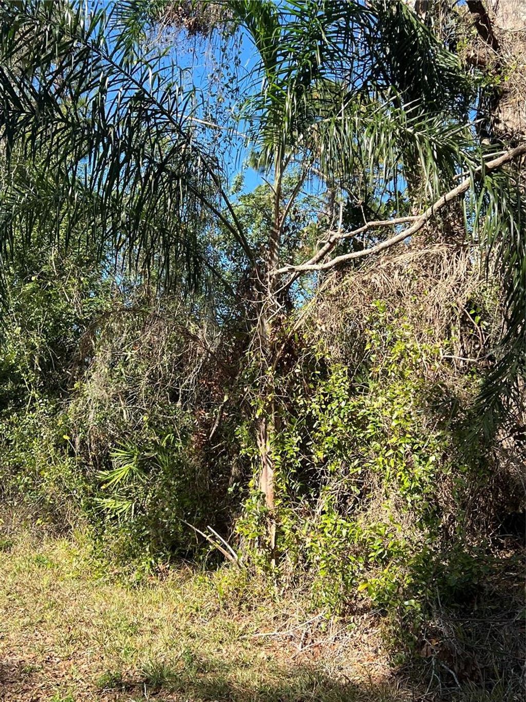 Photo of 510 Calliandra Drive, Indian Lake Estates, FL 33855 (MLS # S5118747)