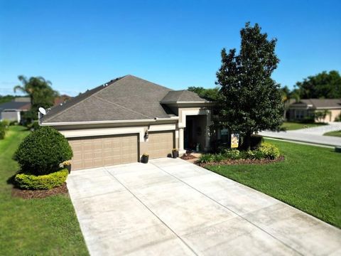 13302 TRAILING MOSS DRIVE DADE CITY FL 33525