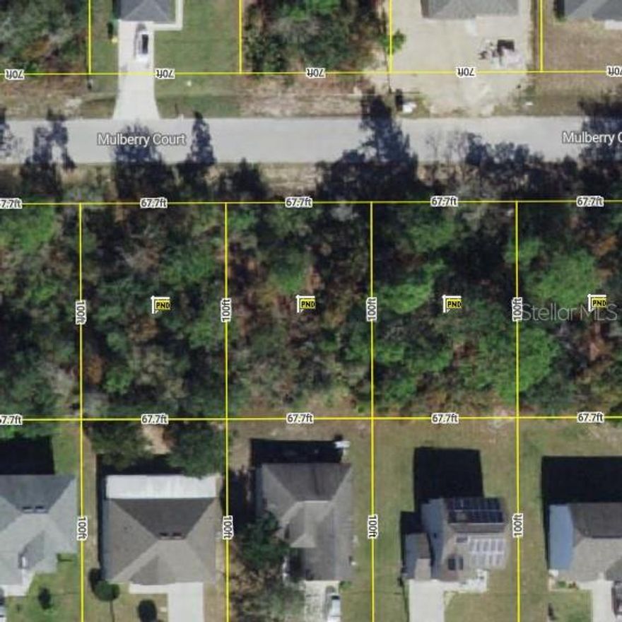 Here are 4 lots together and ready for savvy investor or builder. The lots already have water and are all side by side to make building a breeze. New or new homes already on street. Great opportunity. Lots available together are 406, 408, 410, and 412 Mulberry Court. Poinciana has so many amenities for the very low hoa fee of $30.00 month. Multiple parks, pools, fitness center, trails, sports courts, nearby shopping, nearby to Disney, and so much more to appreciate.