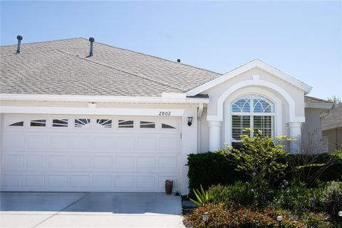 Photo of 2802 Torrance Drive, Land O Lakes, FL 34638 (MLS # TB8460849)