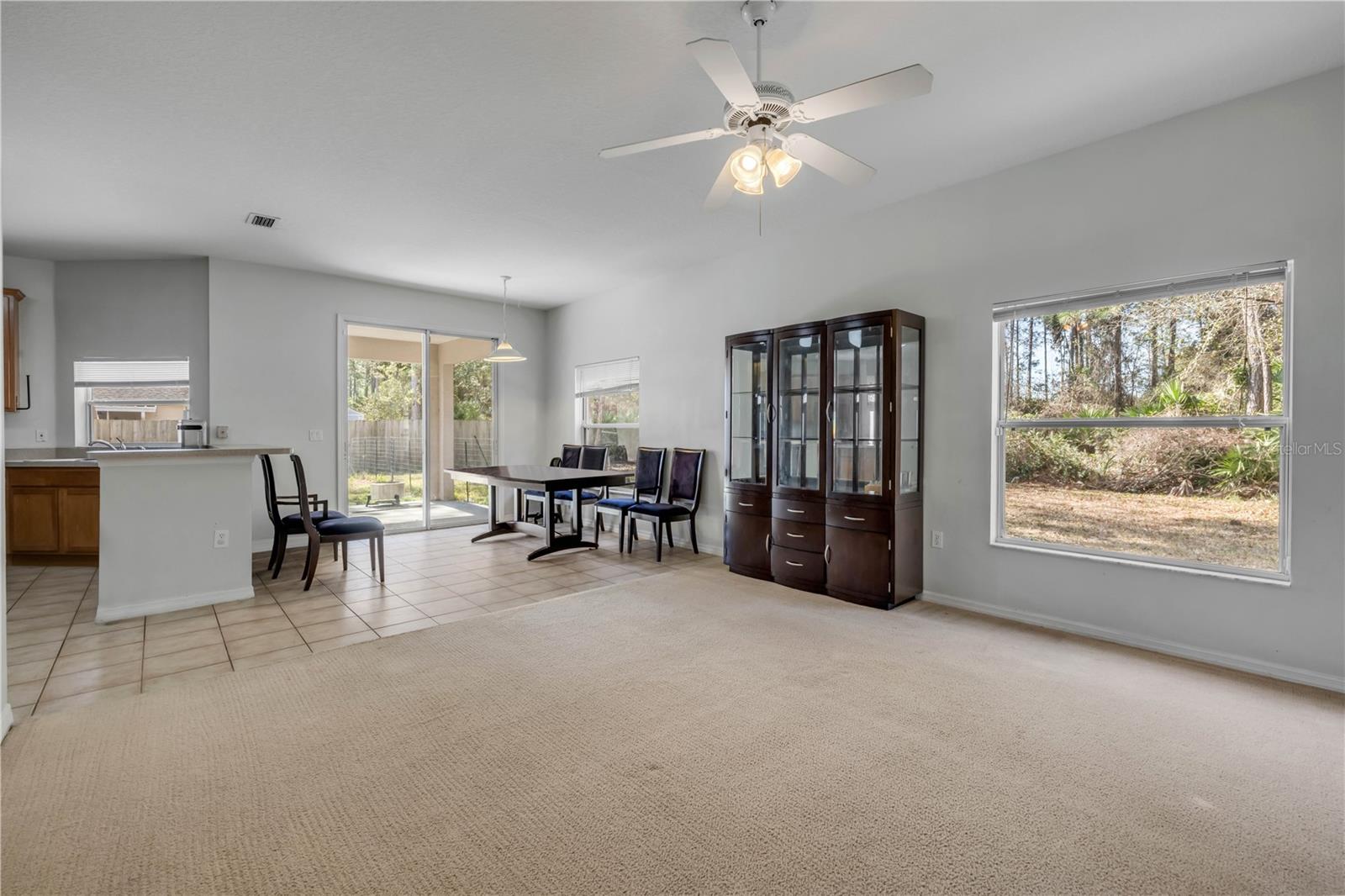 PALM COAST SEC 31 - Residential