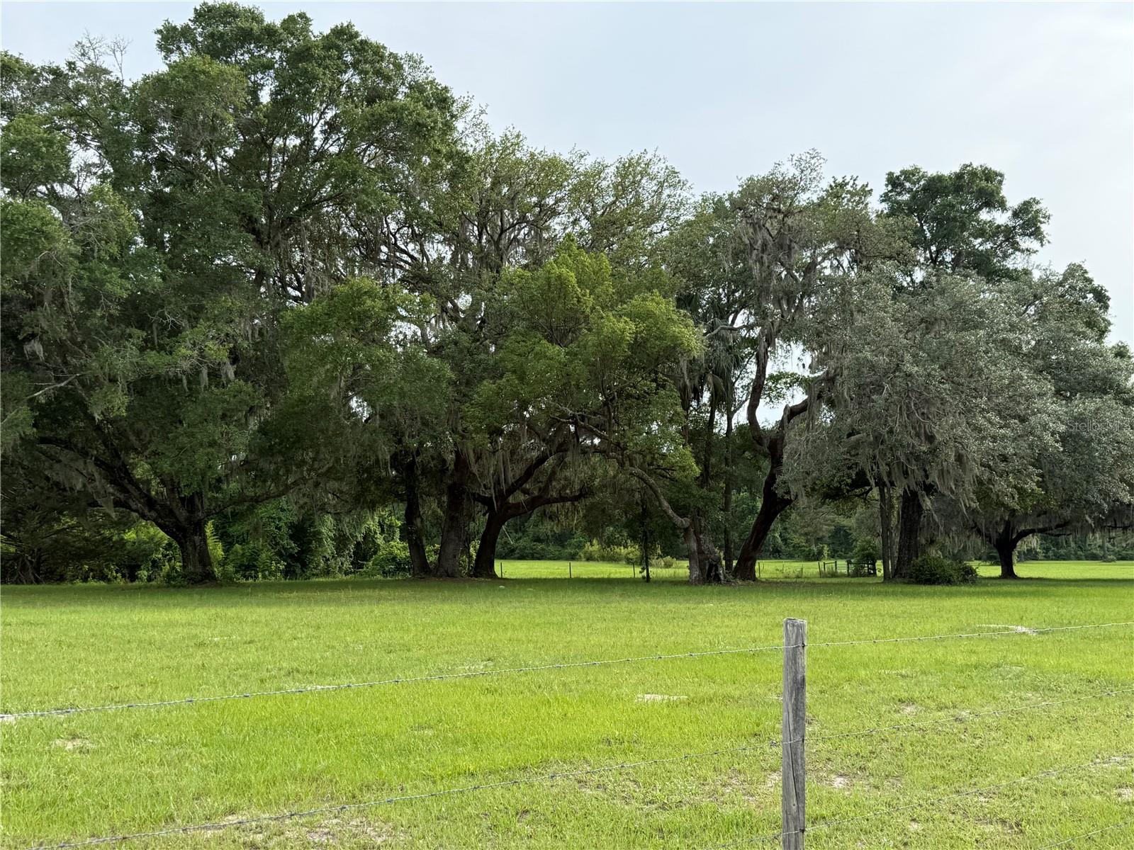 1360 S STATE ROAD 19