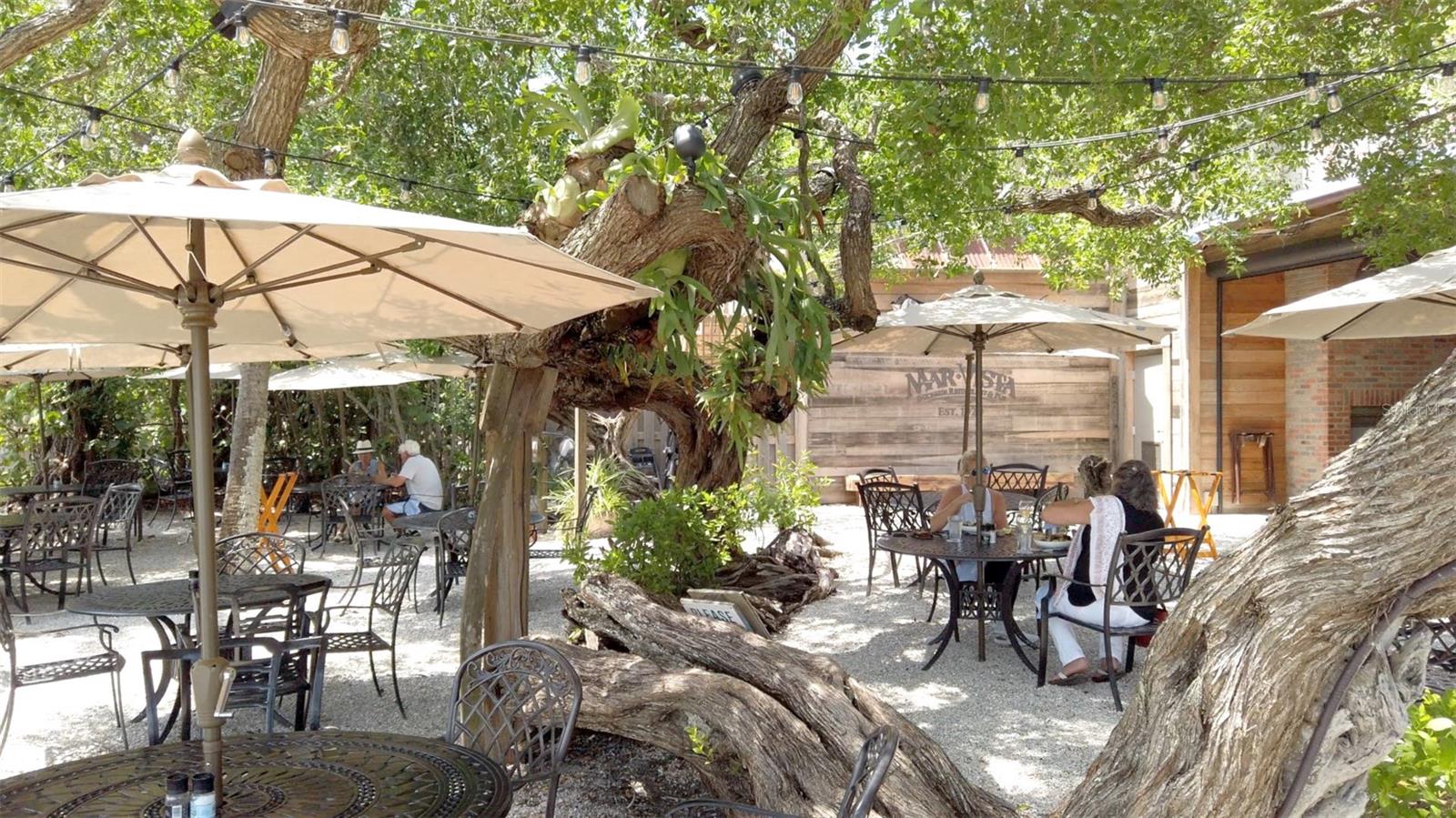 CONRAD BEACH - Residential