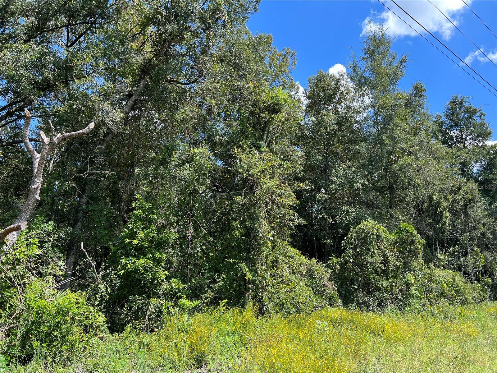 NW US 19 HIGHWAY