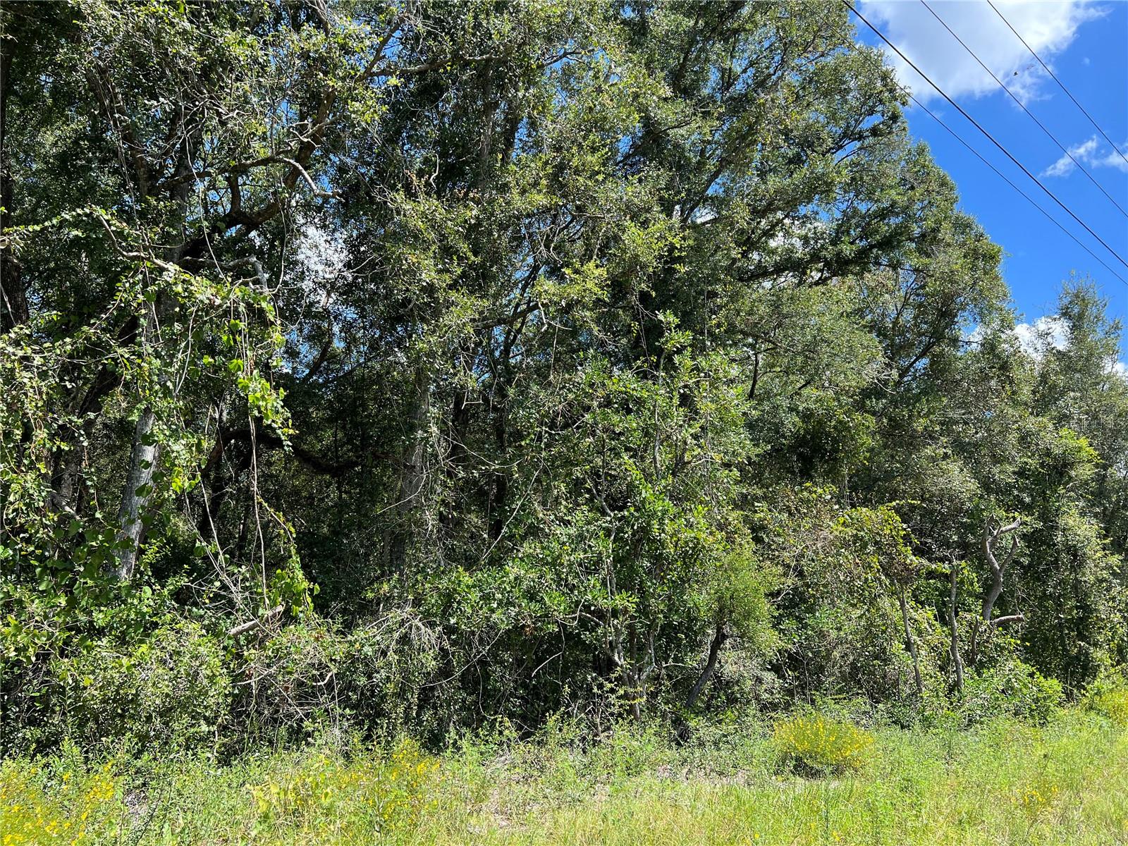 NW US 19 HIGHWAY
