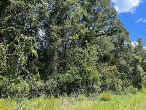 NW US 19 HIGHWAY CHIEFLAND FL 32626