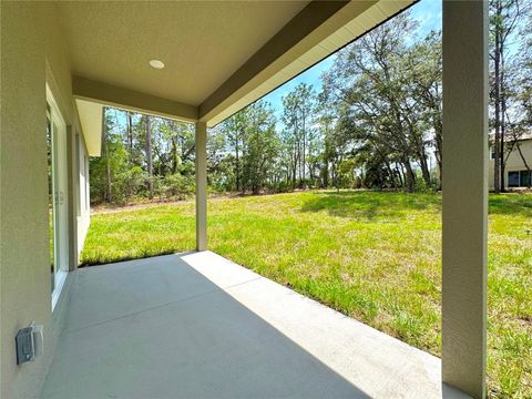 Tiny photo for 11032 N Trigger Terrace, Citrus Springs, FL 34433 (MLS # O6410705)