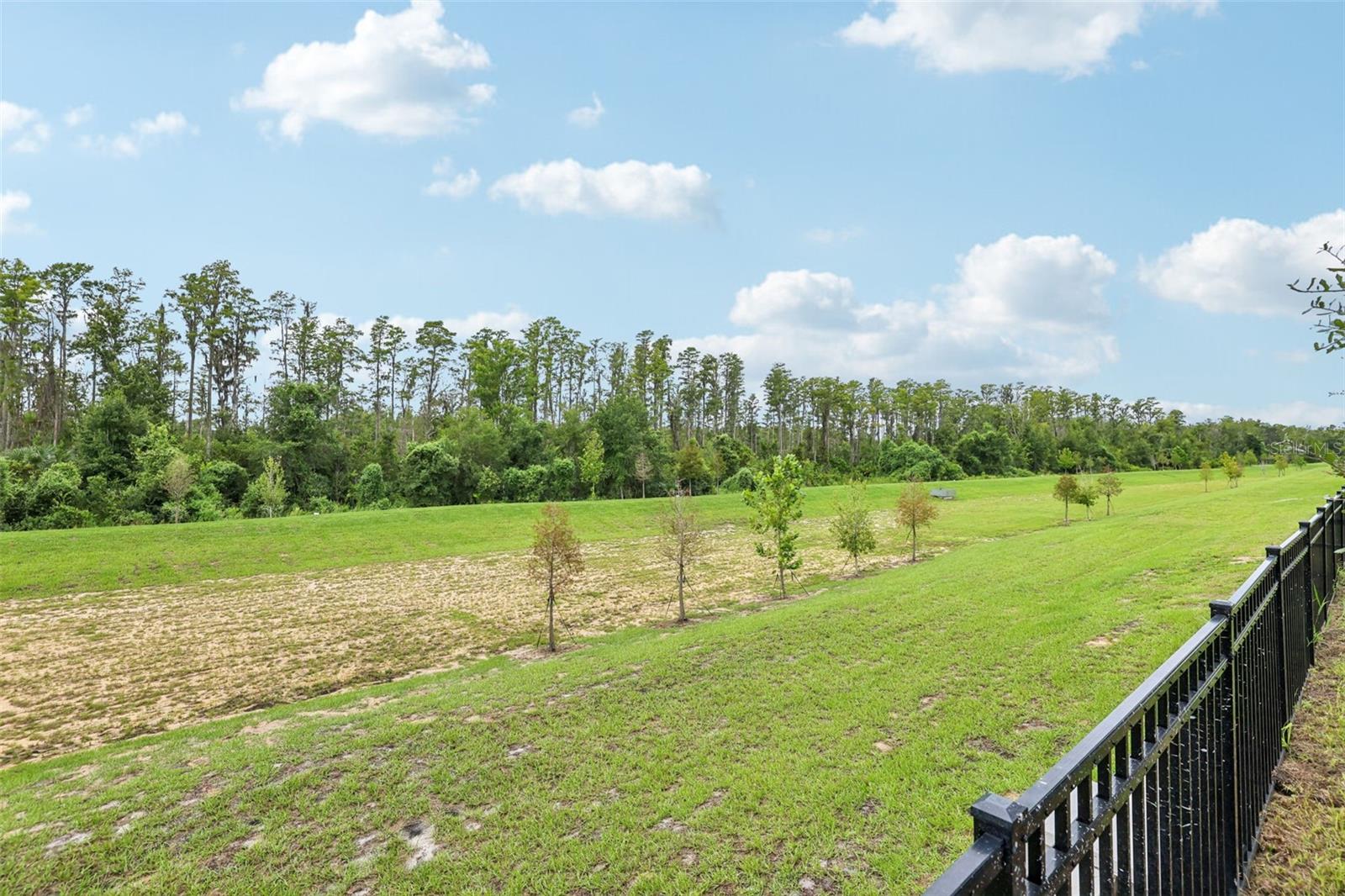 CAGAN CROSSINGS WEST - Residential Lease